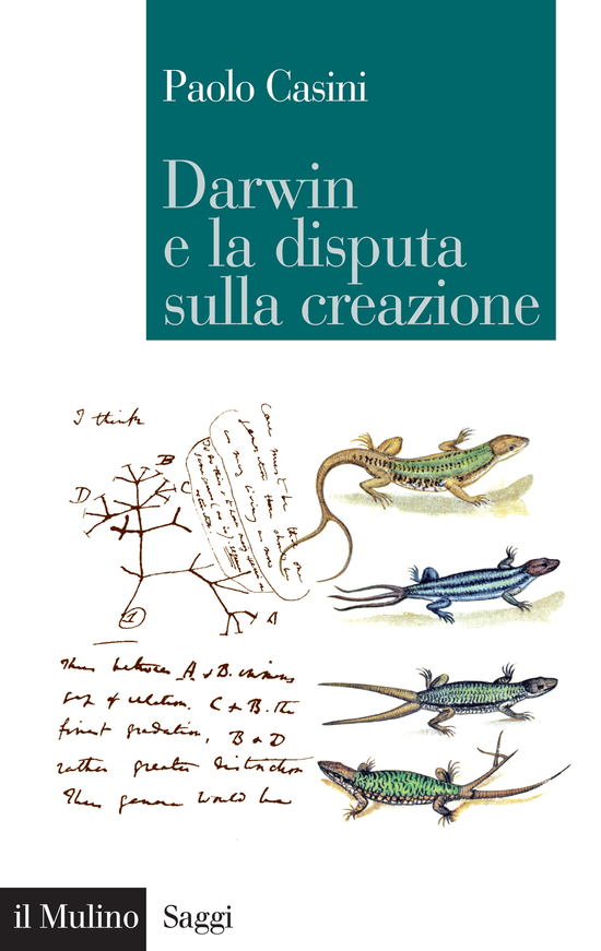 Copertina del libro Darwin e la disputa sulla creazione ()